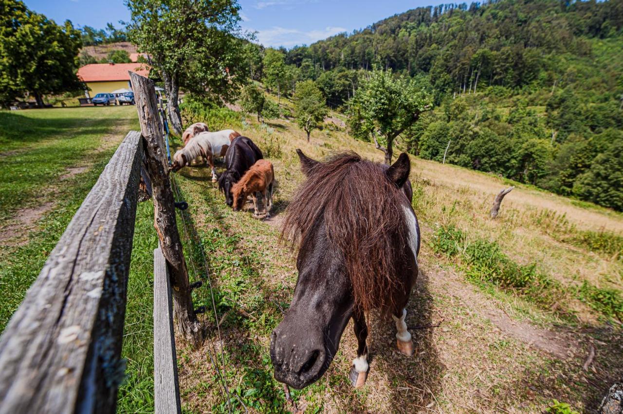 Eko Pony Ranch Ogrizek Apartment Podcetrtek Bagian luar foto